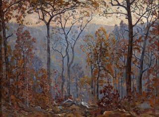 Autumn in the Ozarks