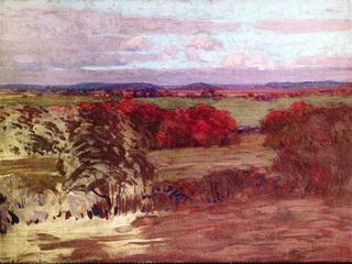 Ipswich Meadows
