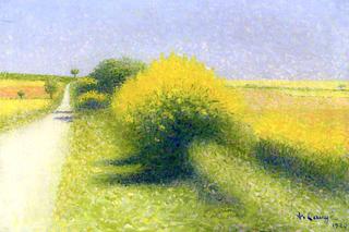 Road Boarded with Gorse