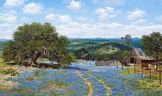 Hill Country's Blue Bonnets, Texas