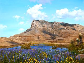 Guadalupe Mountains, Texas