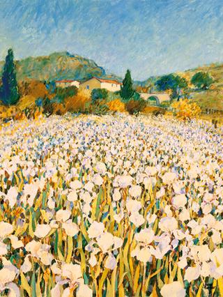 Iris Farm near Guillaumes