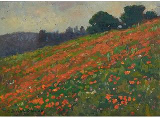 Poppy Field