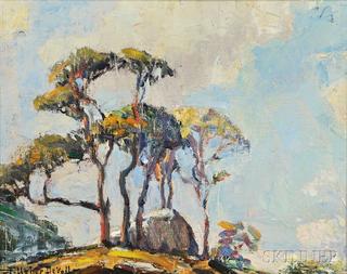 Rocks and Trees