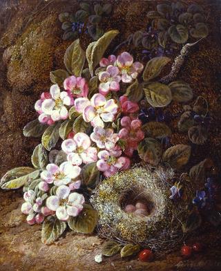 Flowers and Bird's Nest on a Mossy Bank