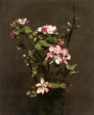 Apple Blossoms