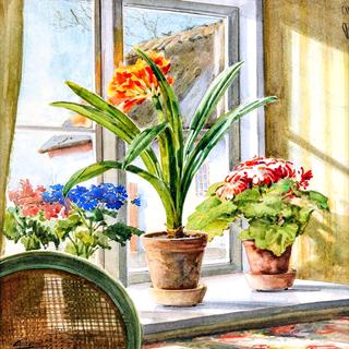Flowers in a window sill