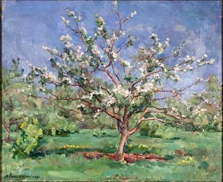 Spring
