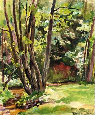 Landscape Study