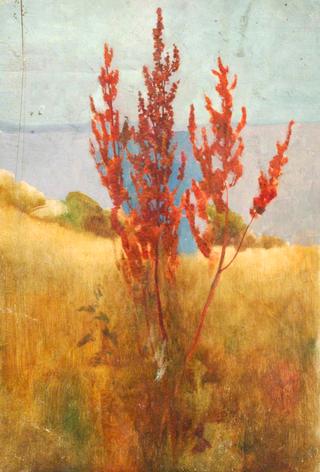 Red Sapling by the Sea