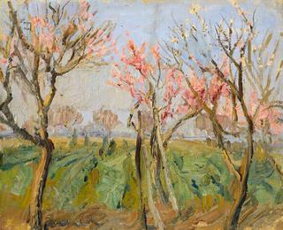 Garden near Rome. Peaches in Bloom