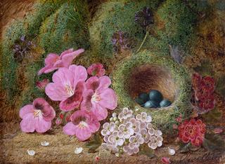 Bird's Nest with Flowers