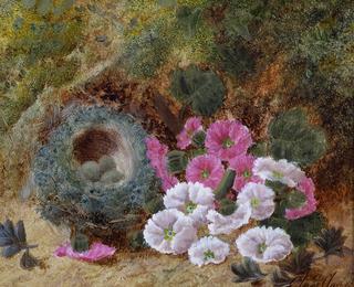 Still Life of Flowers and Bird's Nest