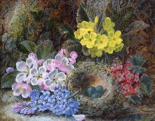 Primroses, Apple Blossoms and Bird's Nest