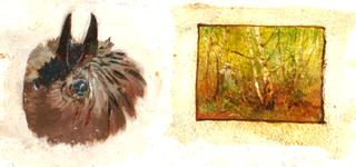 Sketch of Grassland and a Bird's Head