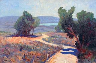 Scrub Trees of Rhone
