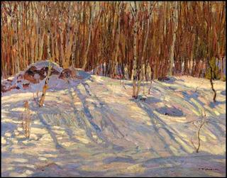 Winter Afternoon