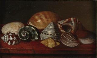 Still Life with Shells