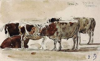 Group of Cows