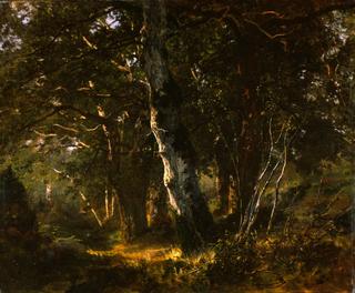 Fontainebleau Forest