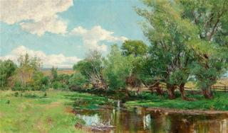 Riverbend in Summer