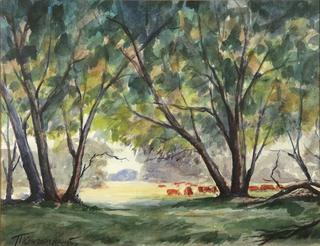 Cows in a Field