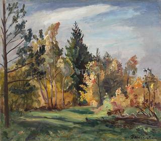 Sunlit Forest