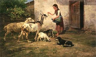 Feeding Time
