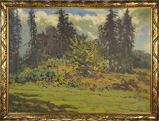 Edge of Forest