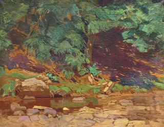 Forest Pool