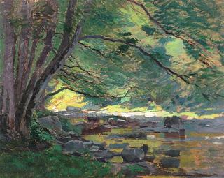 Forest Stream
