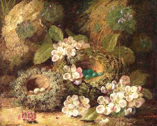 Primroses and birds nests on a mossy bank