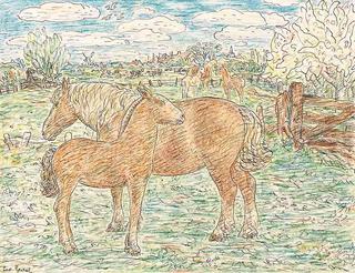 Horses
