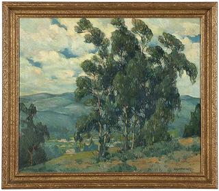 Eucalyptus Trees