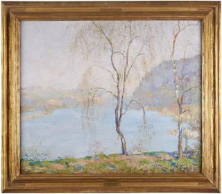 Water Birch, Springtime