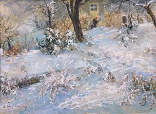 Winter Evening