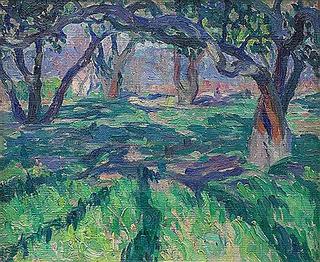 Olive Trees near Saint Tropez