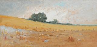 Meadow by the Sea