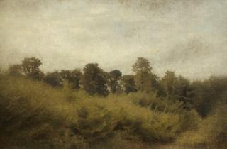 Young Forest, Trørød, Summer