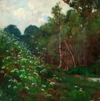 Woodland View with Stream