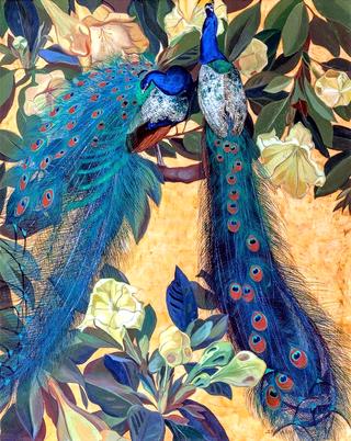 Blue Peacocks in a Golden Background