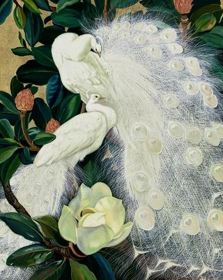White peacocks and magnolia