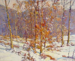 Texas Hillcountry Snow