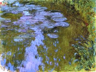 Water Lilies