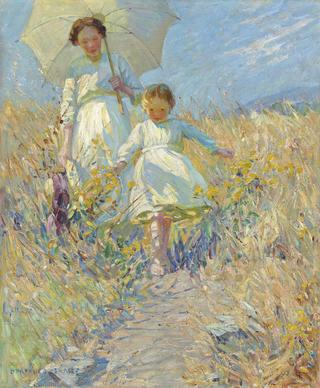A Summer Stroll
