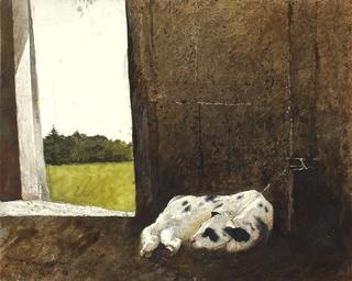 The New Calf