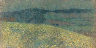 Summer Meadow