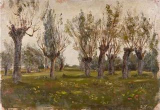 Willows
