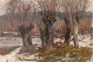 Willows