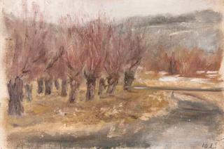 Willows